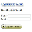 How to Make a Squeeze Page Using the WordPress eStore Plugin