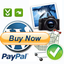 How to Use Buy Now buttons Using the WordPress eStore Shopping Cart Plugin